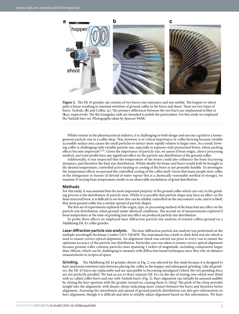 srep24483 The effect of bean origin and temperature on grinding roasted coffee.pdf_第3页