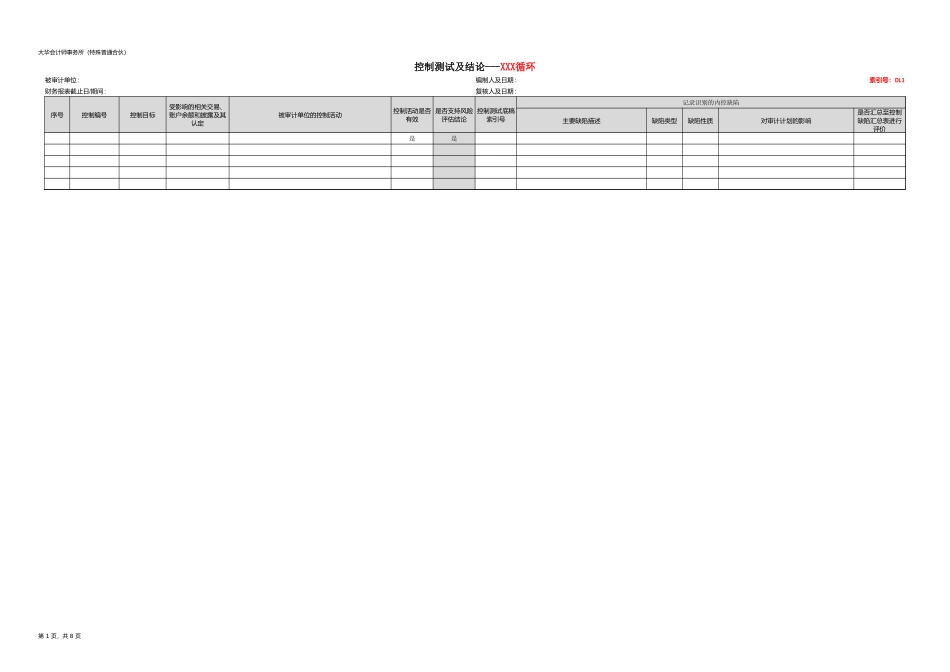 DL 控制测试 - XX循环【财会审计干货资料库整理分享】.xlsx_第2页