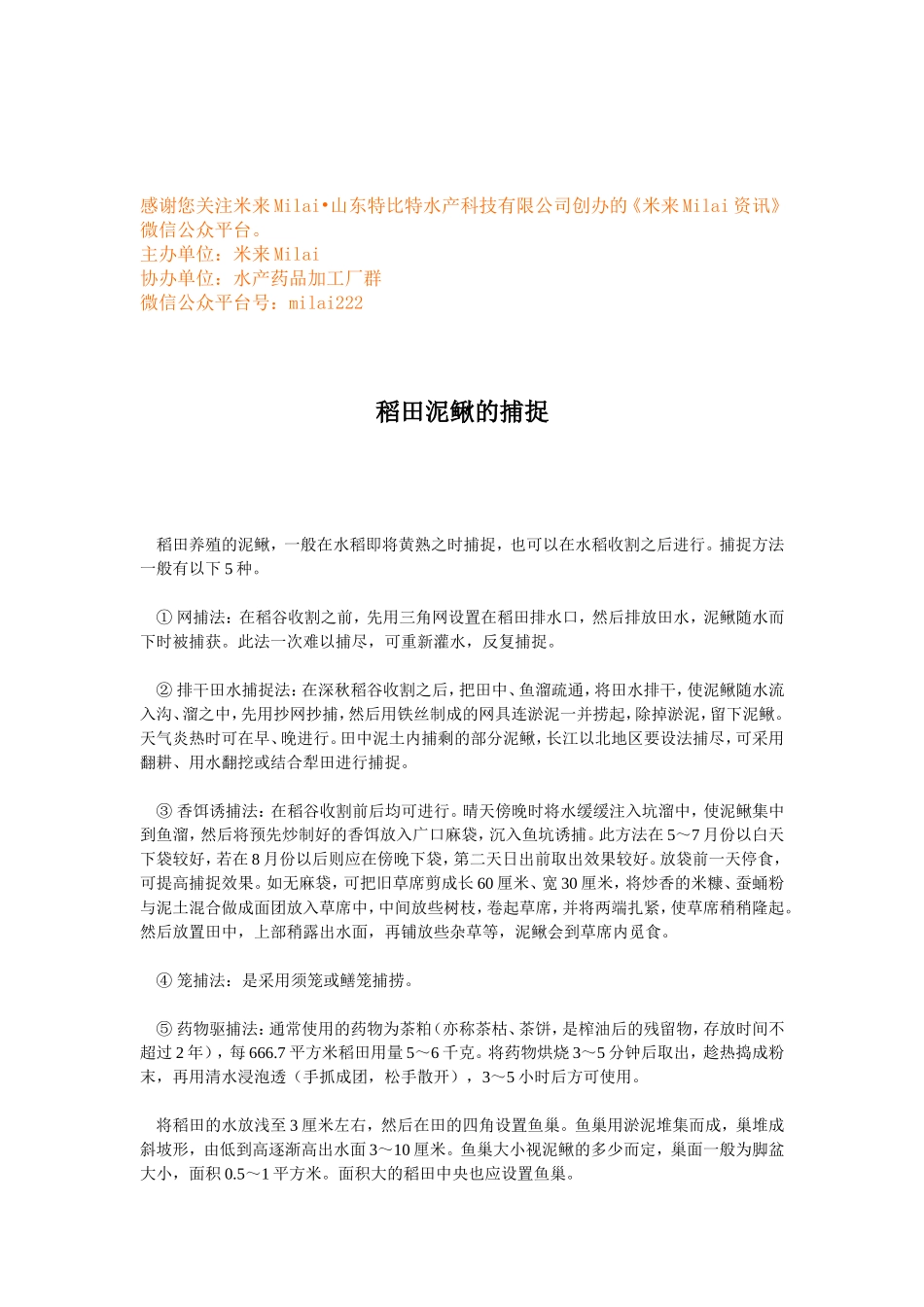 稻田泥鳅的捕捉 (1).doc_第1页