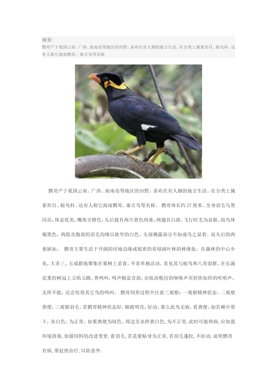 鹩哥饲养小常识.doc_第1页