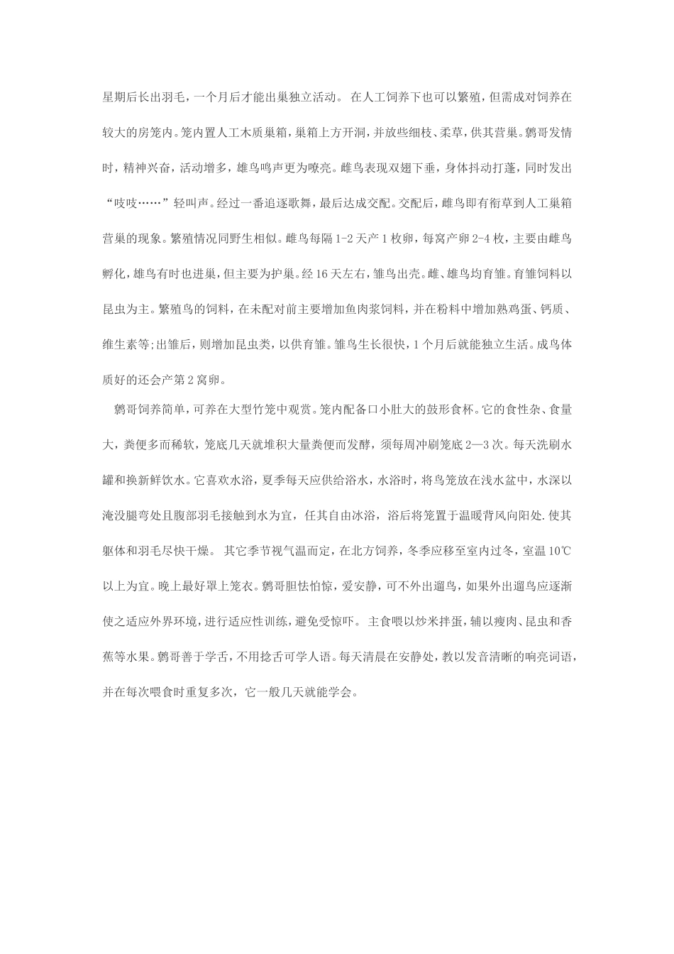 鹩哥饲养小常识.doc_第3页