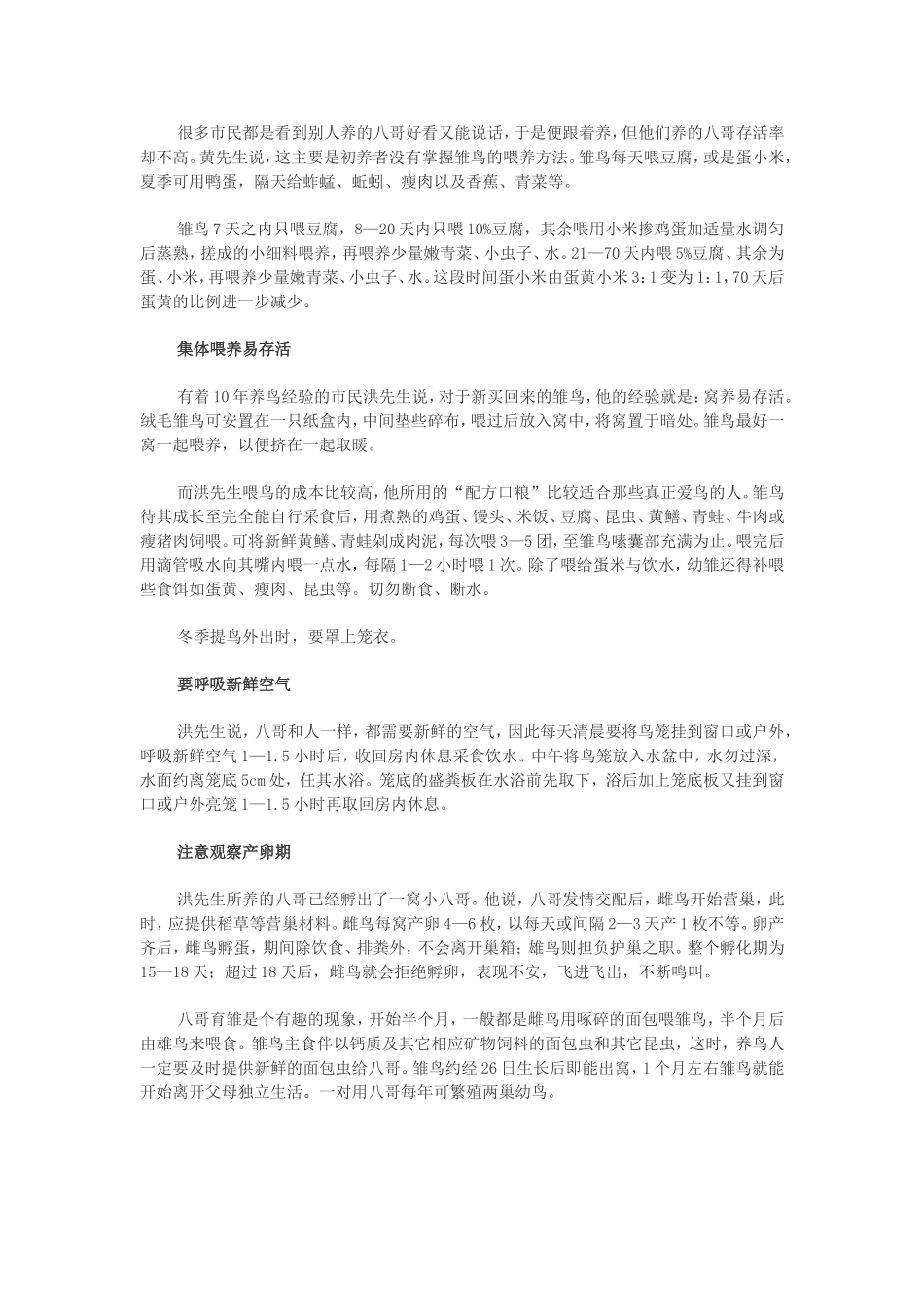 饲养八哥须记五要点.doc_第2页