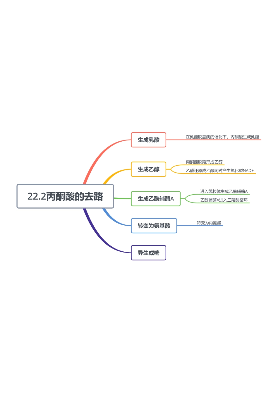 22.2丙酮酸的去路.pdf_第1页