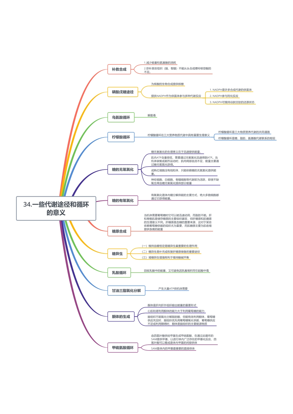 34.一些代谢途径和循环的意义.pdf_第1页