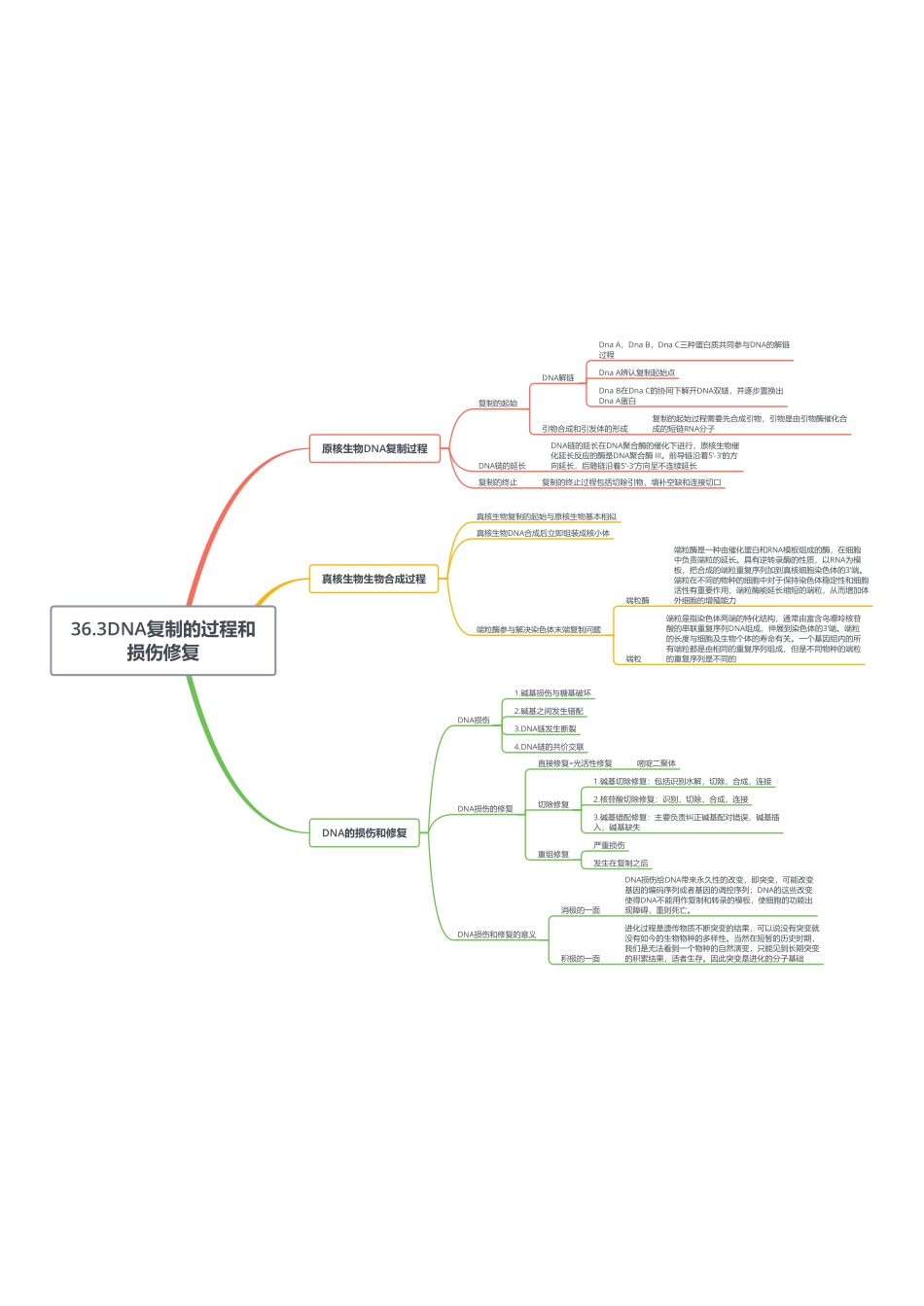 36.3DNA复制的过程和损伤修复.pdf_第1页