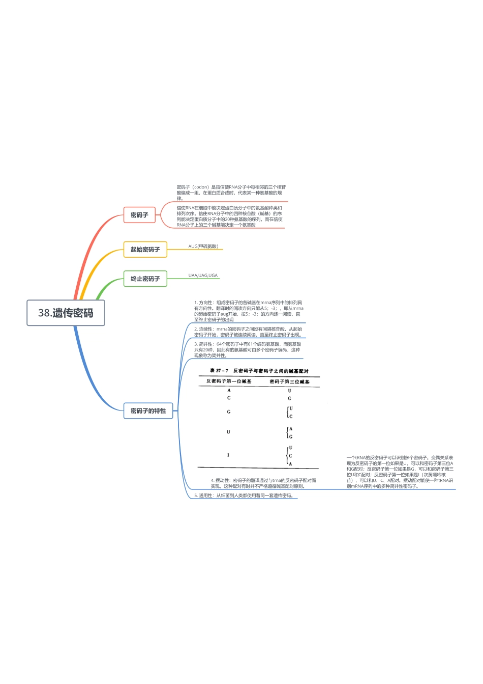 38.遗传密码.pdf_第1页