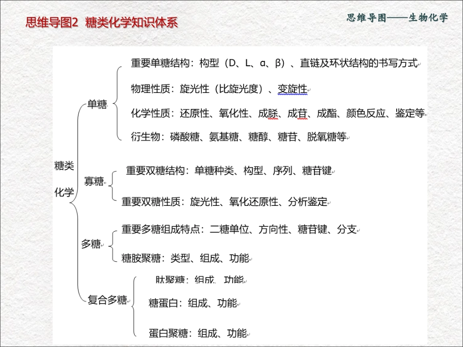 生物化学 思维导图.pdf_第3页