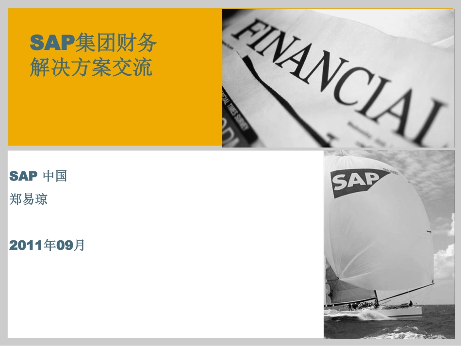 SAP集团财务解决方案v1.1 (1).pdf_第1页