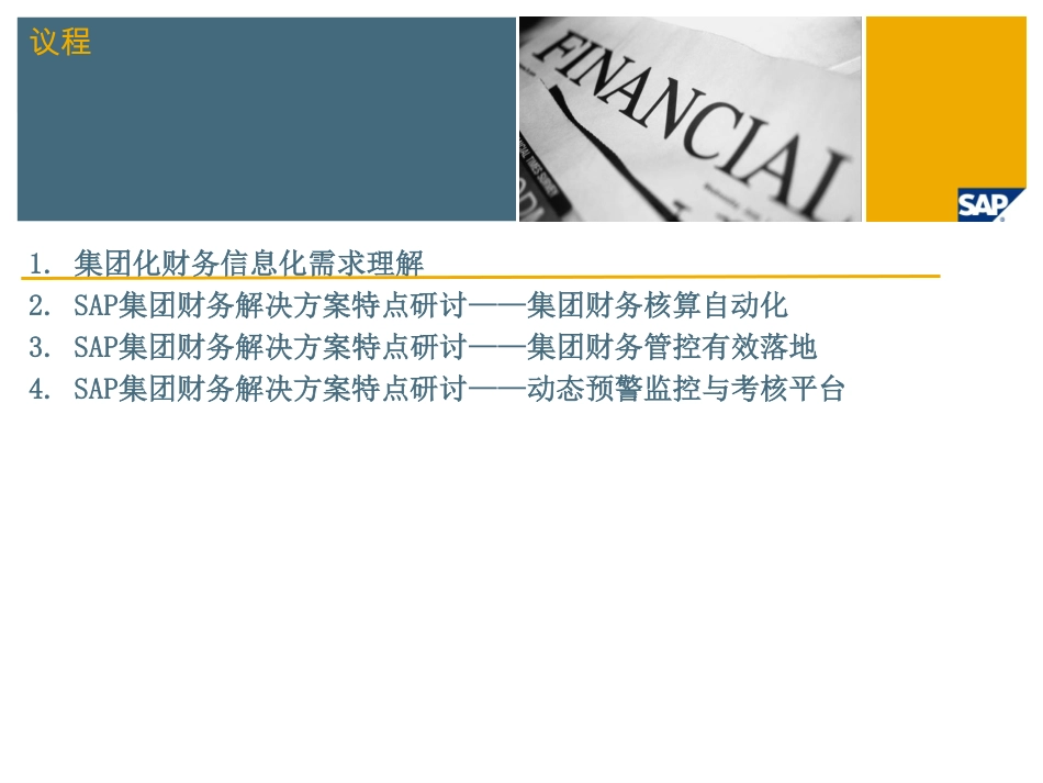 SAP集团财务解决方案v1.1 (1).pdf_第2页