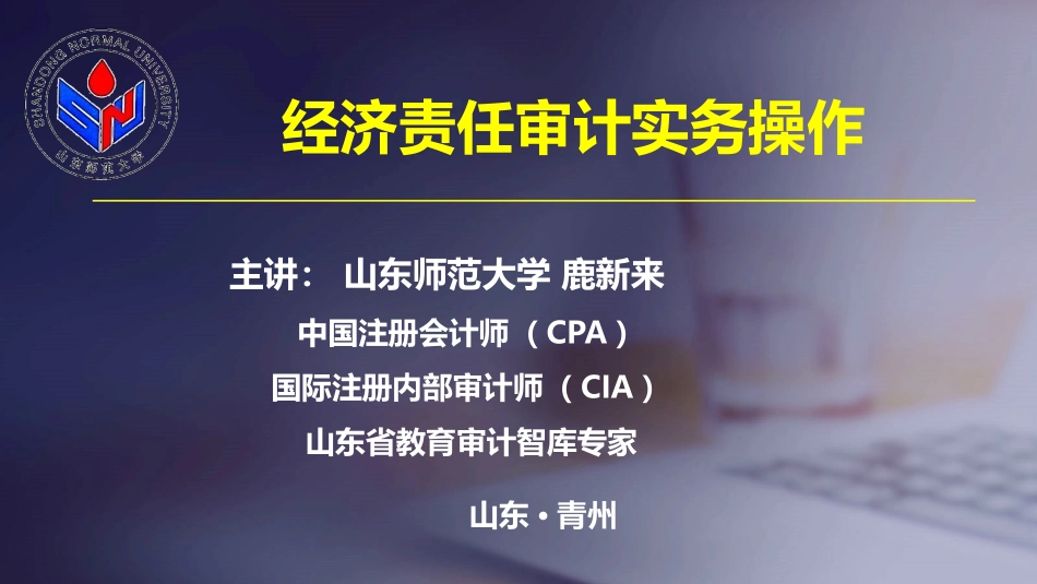 经济责任审计实务操作讲解（2020年8月11日）.pptx_第1页