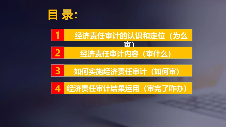 经济责任审计实务操作讲解（2020年8月11日）.pptx_第2页