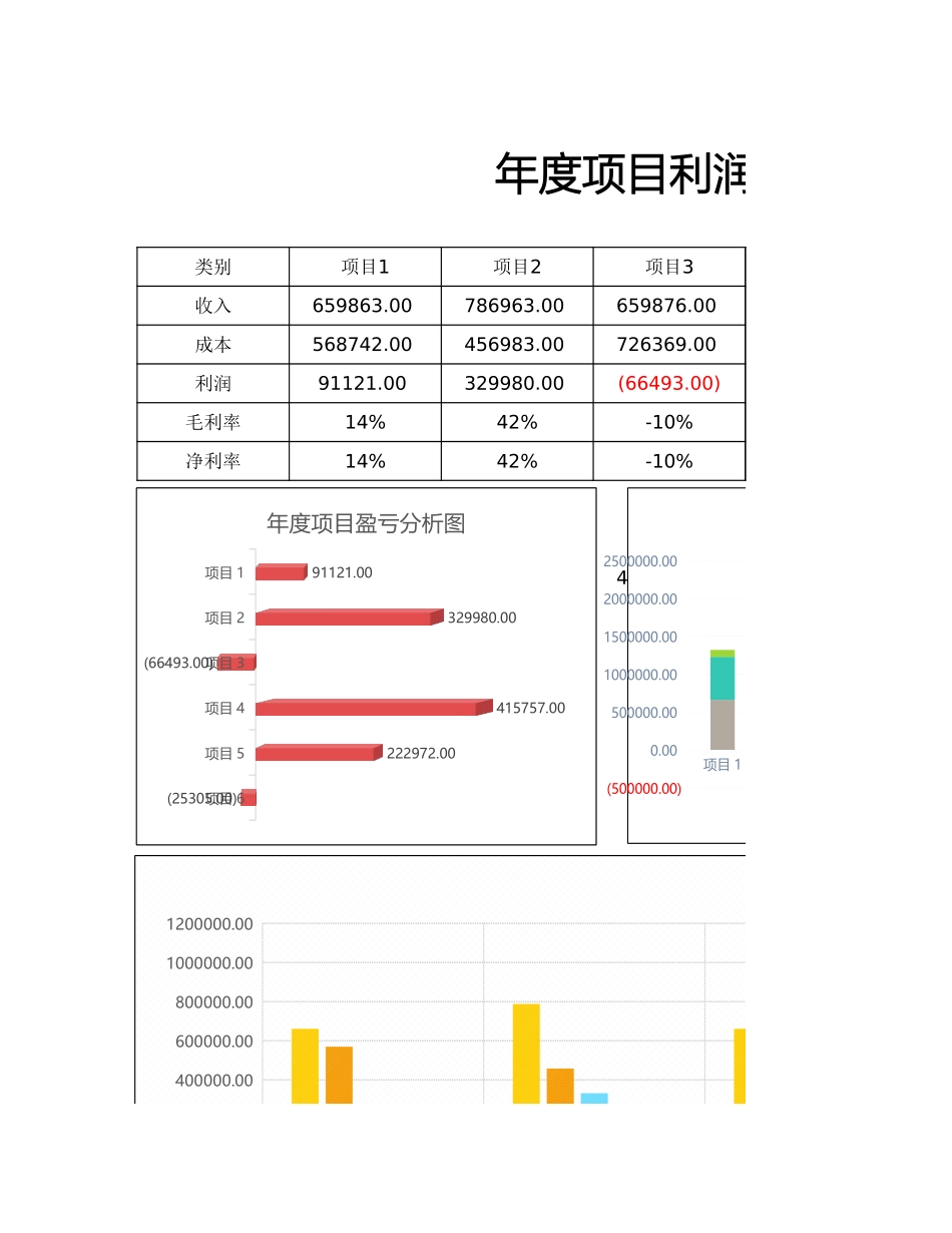 年度项目利润报表（多图表）.xlsx_第1页