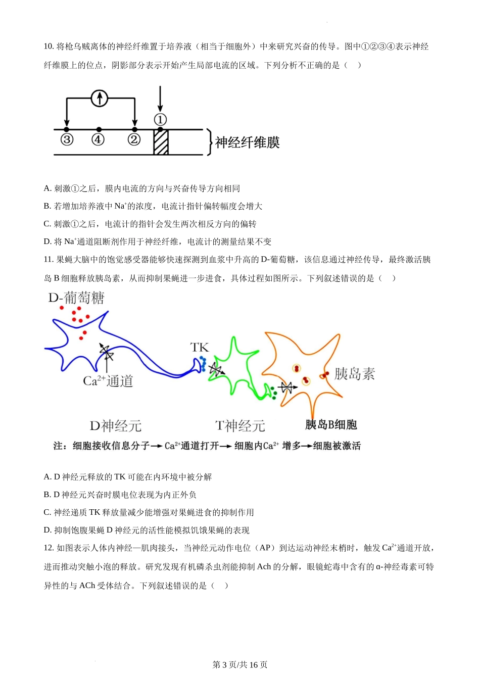 吉林省长春市东北师范大学附中2023-2024学年高二上学期期中生物试题含答案.docx_第3页