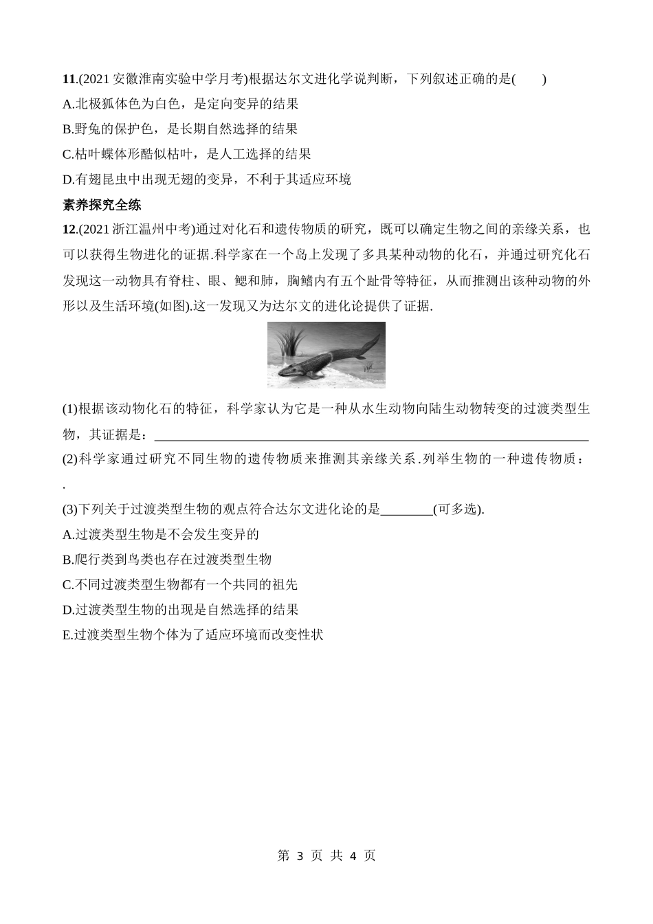 【八年级下册生物北师大版】7.21.2 生物的进化 同步练习.docx_第3页