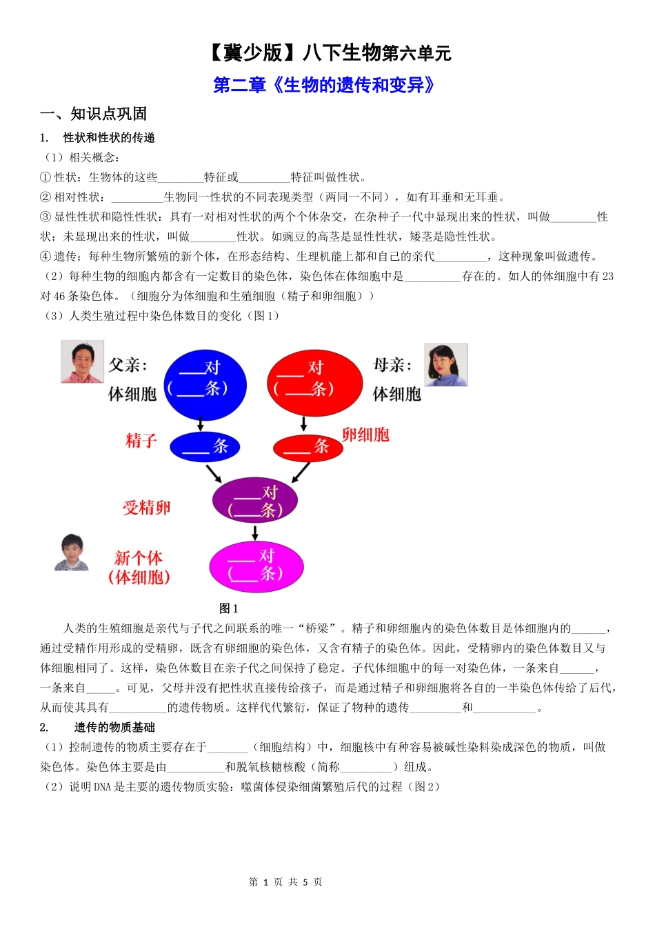 【八年级下册生物冀少版】第六单元 第2章 生物的遗传和变异.docx_第1页