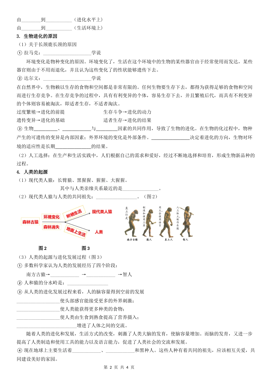 【八年级下册生物冀少版】第六单元 第3章 生命的起源与生物的进化 第4章 现代生物技术.docx_第2页