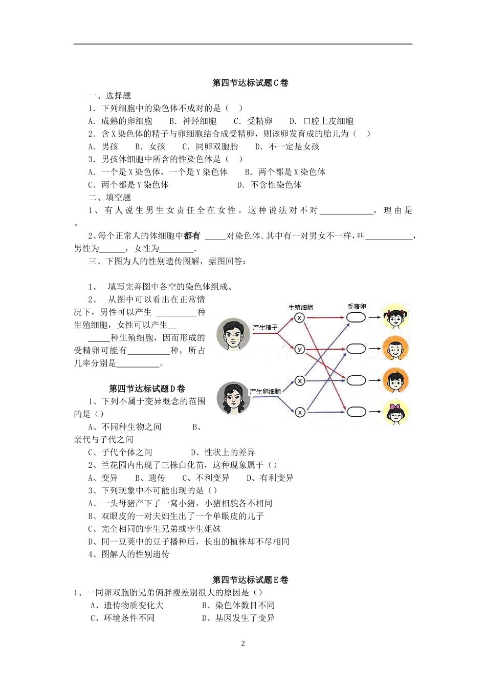 【八年级下册生物人教版】7.2.4人的性别遗传 达标试题.doc_第2页