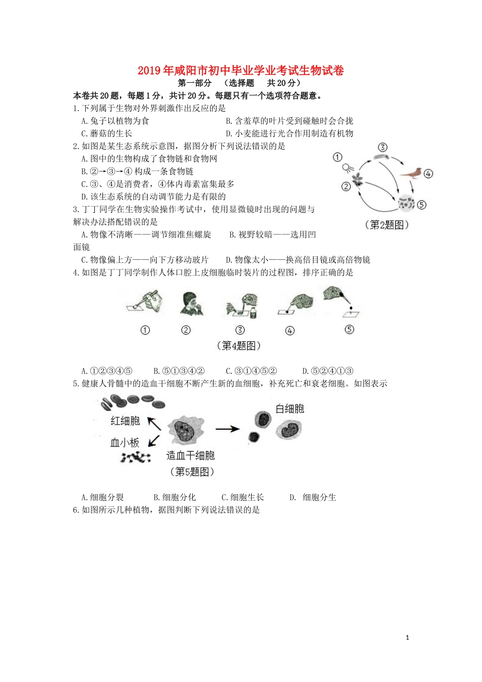 陕西省咸阳市2019年中考生物真题试题.docx_第1页
