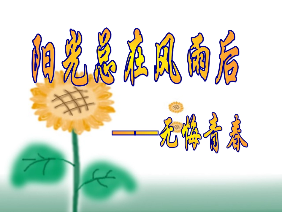 阳光总在风雨后.ppt_第1页