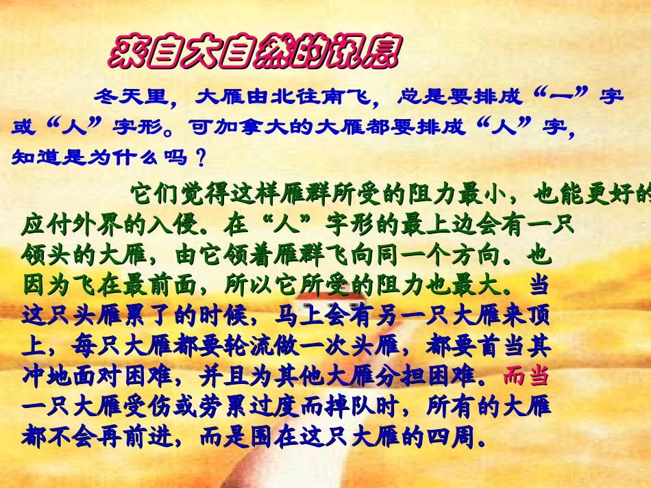 班会4.ppt_第3页