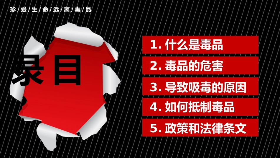 无毒青春 健康生活.pptx_第3页
