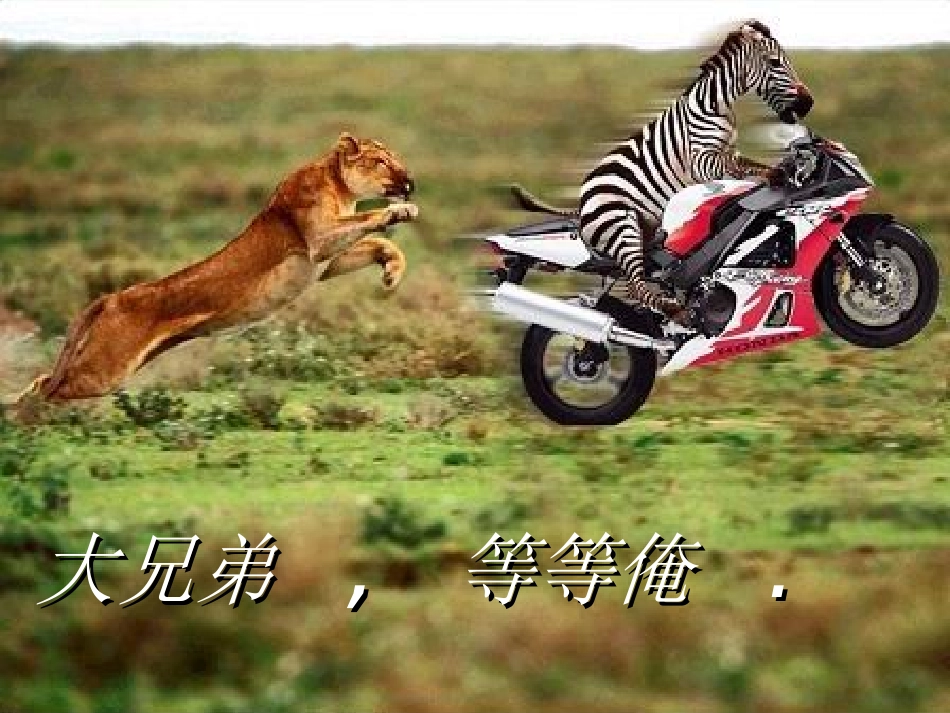 习惯决定命运.ppt_第3页