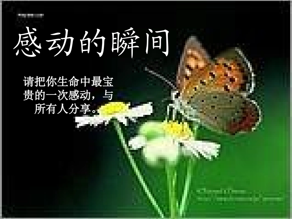 心灵的震撼.ppt_第1页
