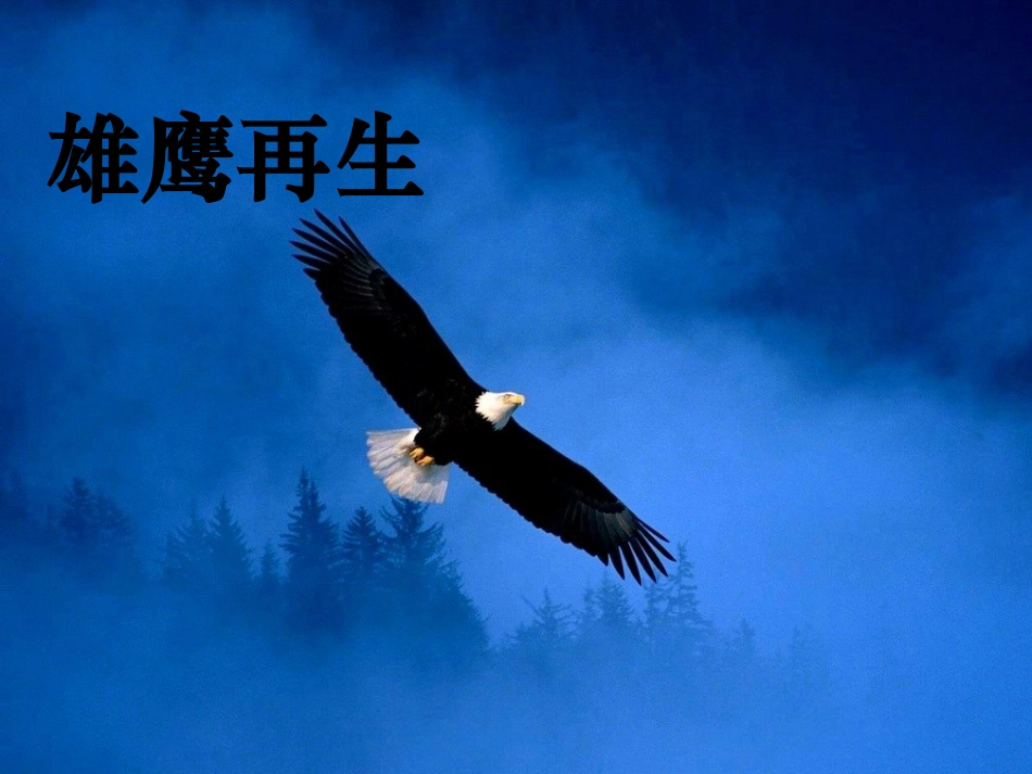 不断反思 不断进取班会.ppt_第2页