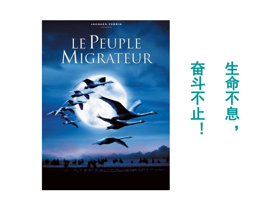 超越梦想.ppt_第3页