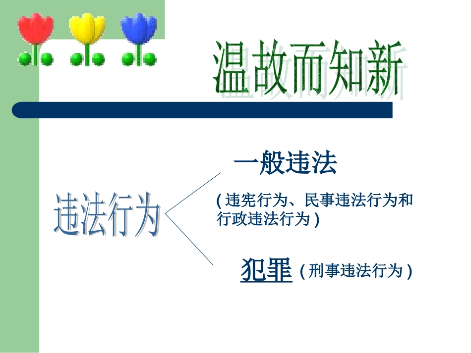 法律“雷池”不可越，法律常识.ppt_第2页