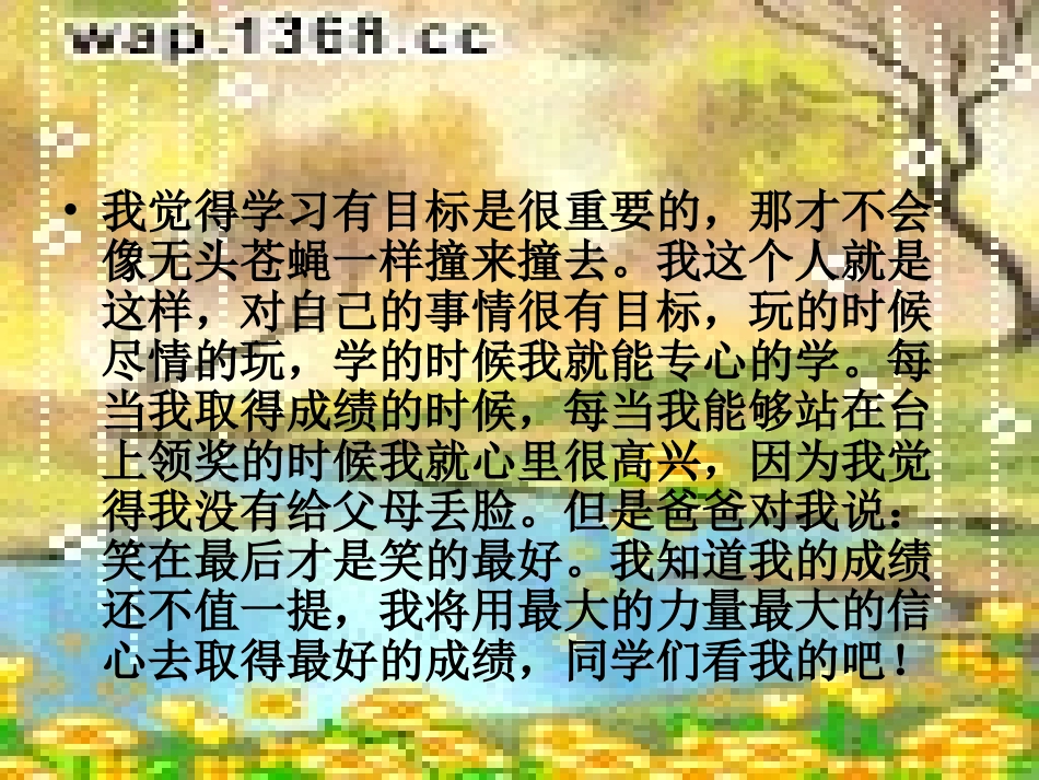 放飞理想.ppt_第3页