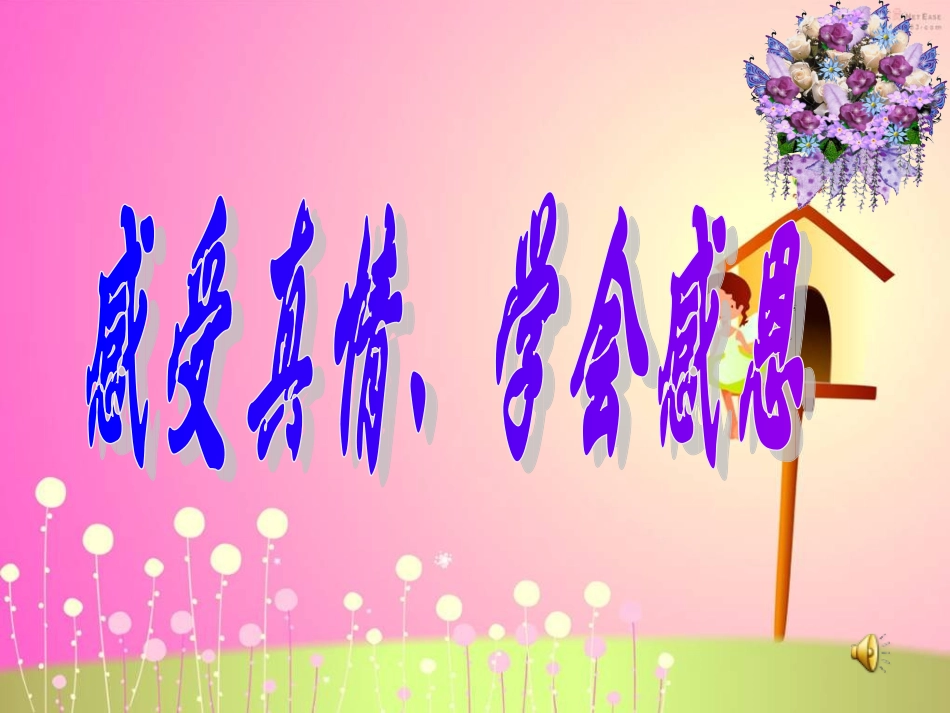 感受真情.ppt_第1页