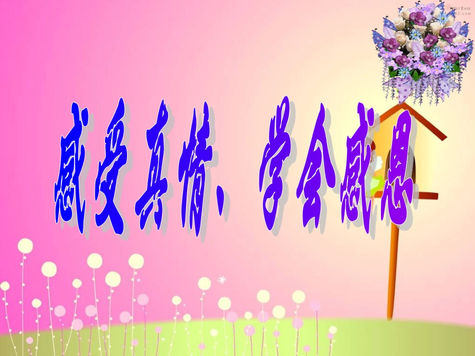 感受真情.ppt_第2页