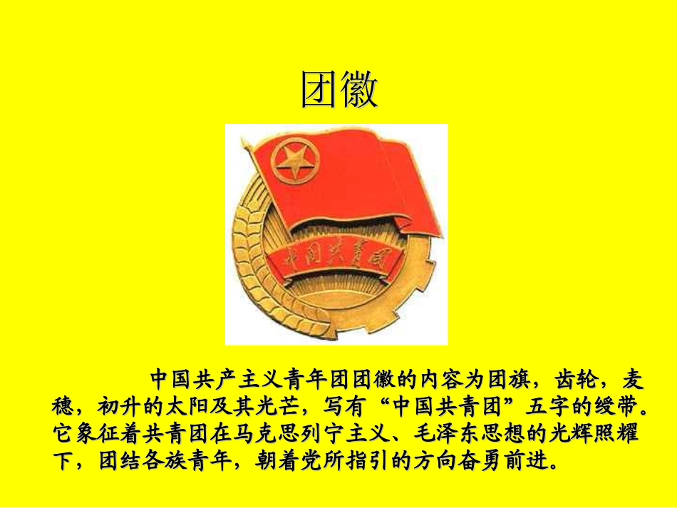 光荣啊,中国共青团  主题班会.ppt_第3页