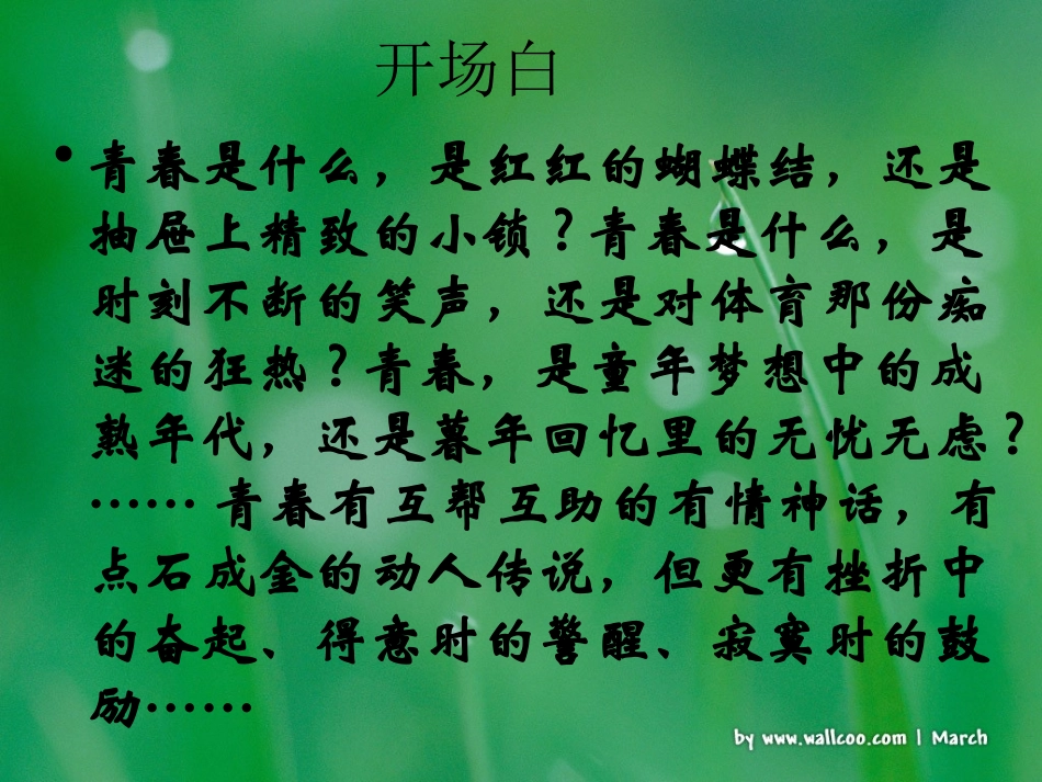 和梦想一起飞.ppt_第2页