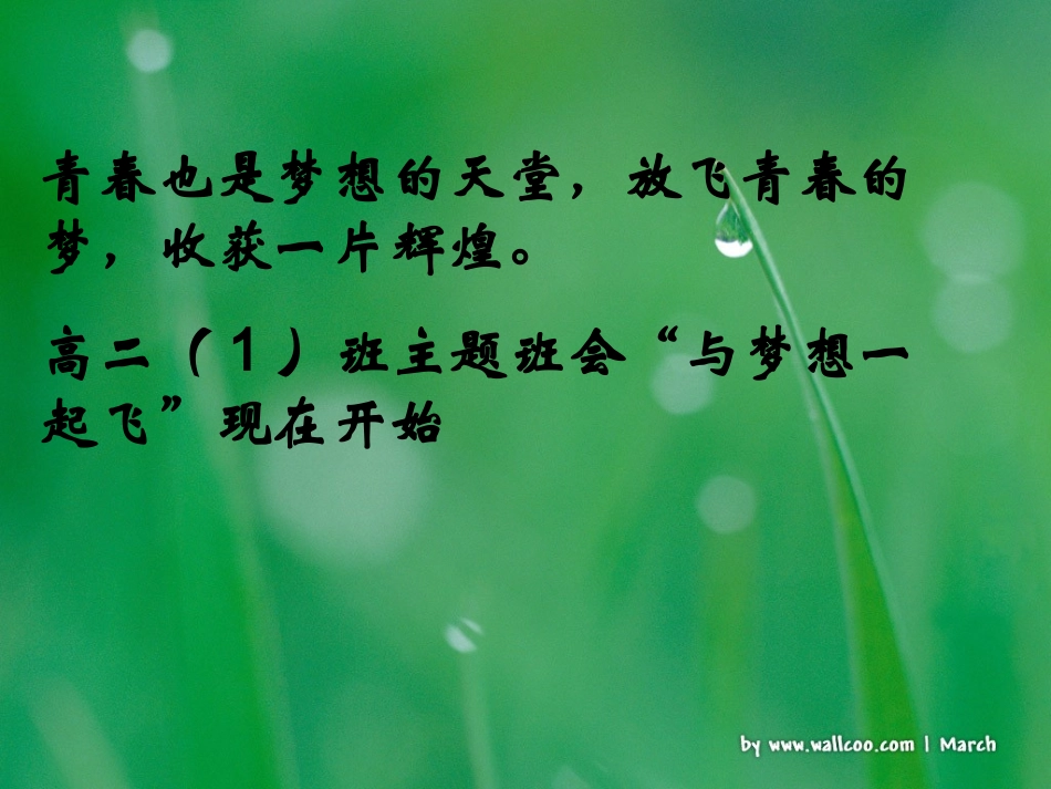 和梦想一起飞.ppt_第3页