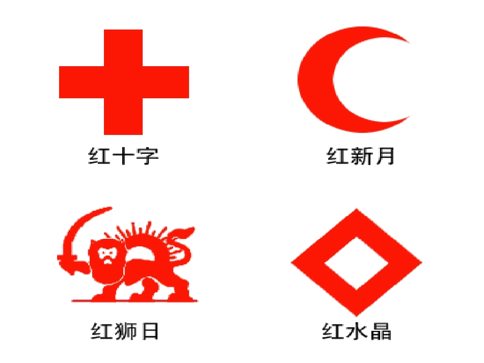 红十字会主题班会.ppt_第2页