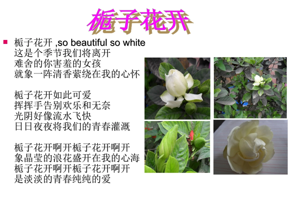 花开有时.ppt_第2页