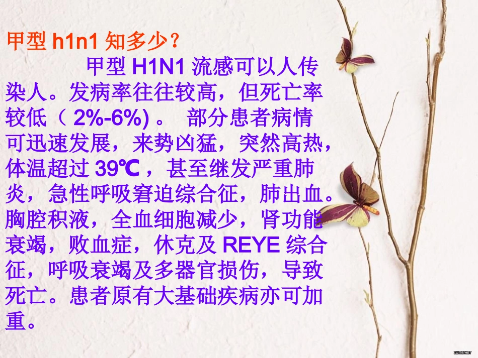 甲型H1N1流感防控主题班会.ppt_第2页