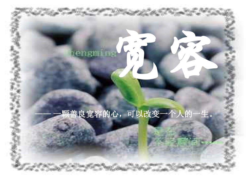 宽容  主题班会.ppt_第3页