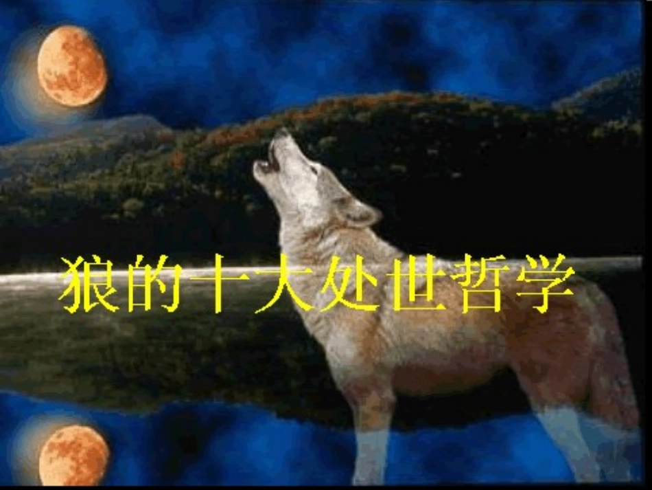 狼.ppt_第1页