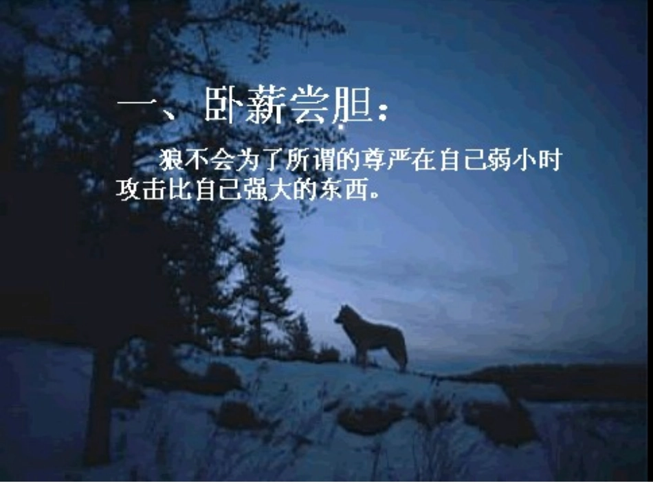狼.ppt_第2页