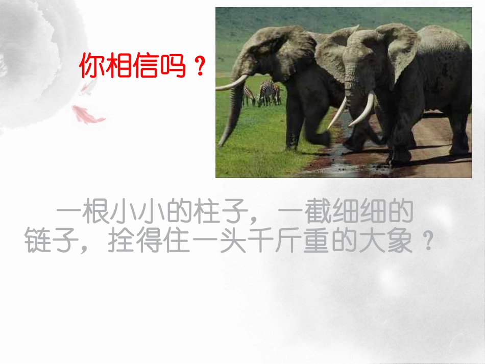 良好习惯主题班会.pptx_第3页