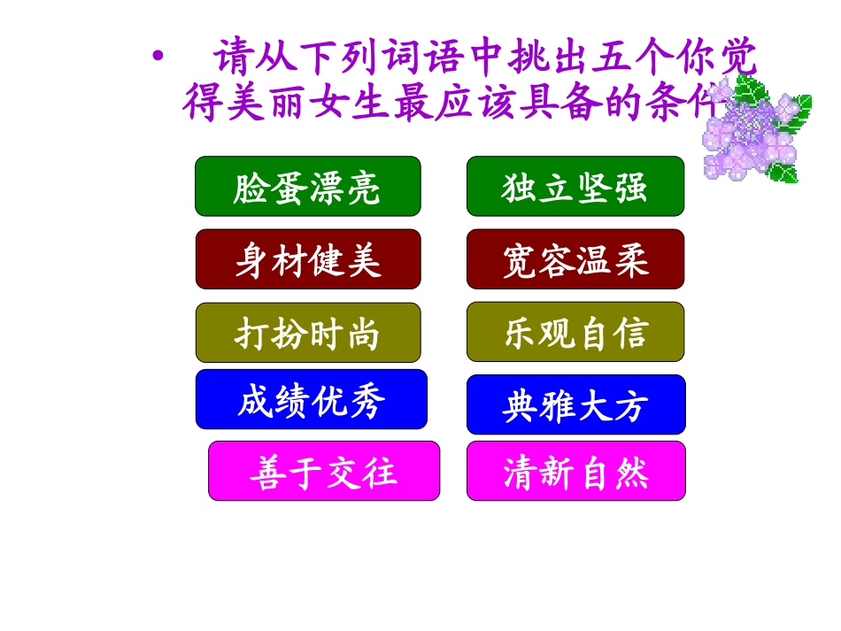 美丽女生.ppt_第3页