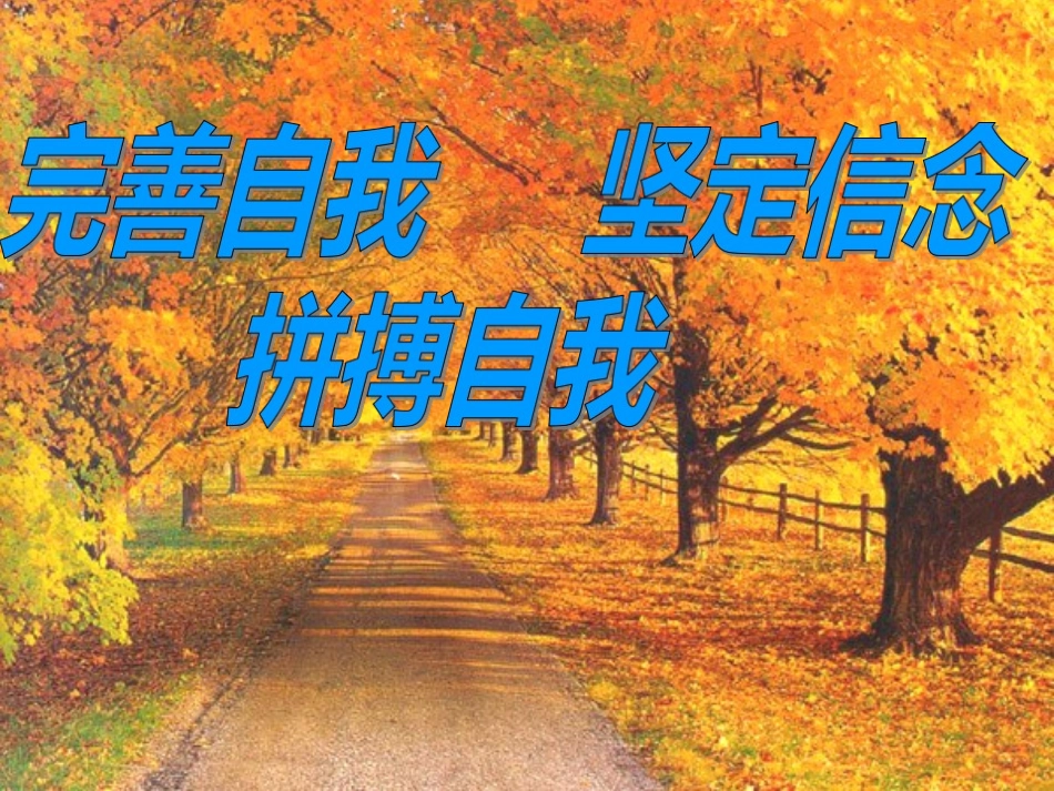 拼博.ppt_第1页