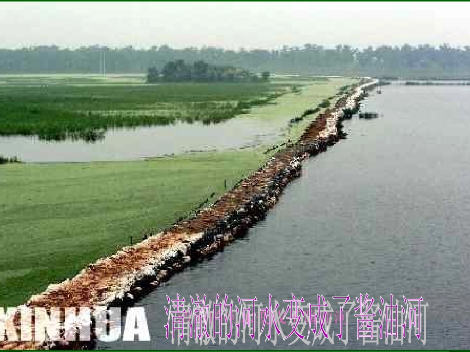 人人参与，保护生态环境  主题班会.ppt_第2页