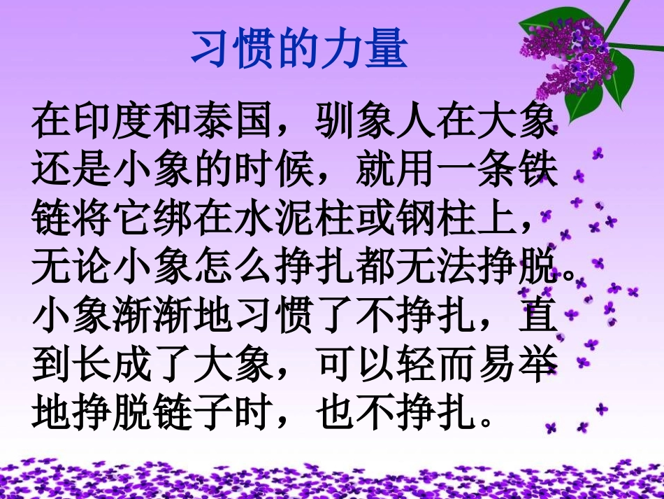 小学主题班会《好习惯伴我行---学会倾听》[程娟]【省级】优质课.ppt_第2页