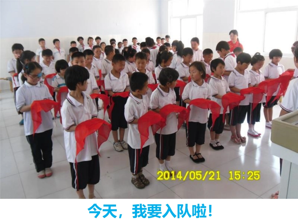 小学主题班会《红领巾之梦》[张梦露]【部级】优质课.pptx_第2页
