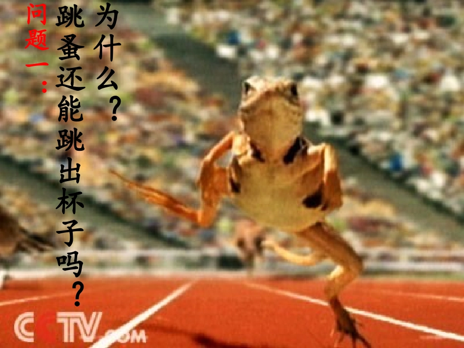 扬起自信的风帆.ppt_第2页