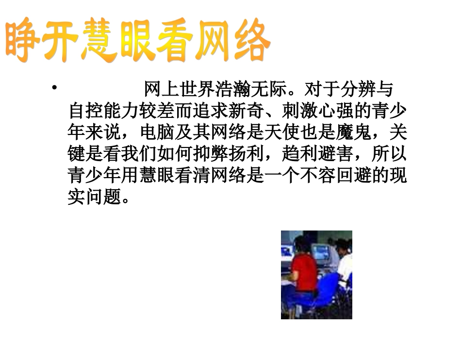 睁开慧眼看网络.ppt_第3页
